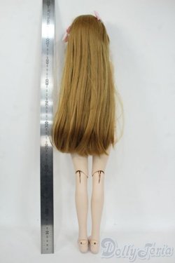 画像5: DDSボディ＆DDH-04ヘッド Y-26-01-21-008-YD-ZY