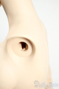 画像4: DD/DDSマユ+DDボディ Y-26-01-21-009-YD-ZY