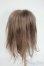画像2: 9inch/ウィッグ Y-26-01-21-162-YD-ZY (2)