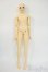 画像5: DOLL CLANS/Kougar:U-LINE Body Y-26-01-28-001-YD-ZY (5)