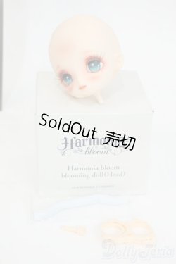 画像4: Harmonia bloom/blooming doll:楓蜜様カスタムヘッド Y-26-01-28-007-YD-ZY