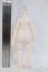 画像2: IMOMODOLL/1/6ボディ Y-26-01-28-107-YD-ZY (2)