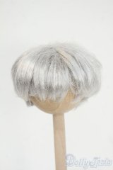 5.5inch/ウィッグ Y-26-02-04-065-WT-ZY