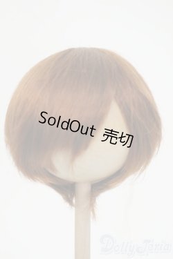 画像1: 9-10inch/ウィッグ Y-26-02-04-069-WT-ZY