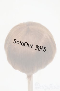 画像2: 9-10inch/ウィッグ Y-26-02-04-069-WT-ZY