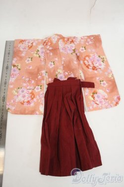 画像2: MDD/OF:衣装セット Y-26-02-04-130-WT-ZY