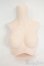 画像1: DD/上半身パーツ・M胸 Y-26-02-04-244-WT-ZY (1)