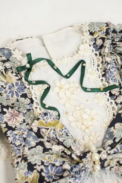 画像2: SD/OF:ドレス Y-26-02-11-088-WT-ZY