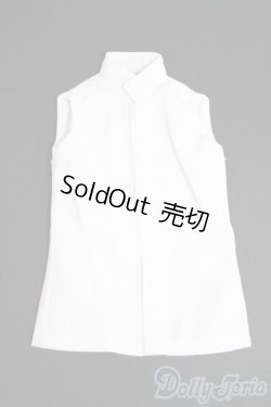 画像1: SDM&MSD/OF:トップス Y-26-02-11-076-WT-ZY