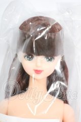 リカちゃんキャッスル/みらい　おたのしみドール Y-26-03-25-178-WT-ZY