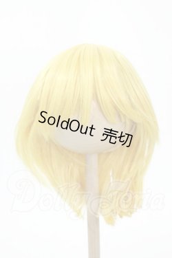 画像1: 8-9inch/ウィッグ Y-26-02-18-171-WT-ZY