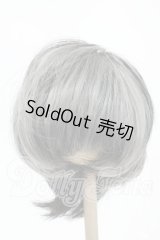 8-9inch/ウィッグ Y-26-02-18-160-WT-ZY