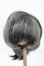 画像1: 8-9inch/ウィッグ Y-26-02-18-160-WT-ZY (1)