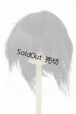 画像1: 8-9inch/ウィッグ Y-26-02-18-173-WT-ZY