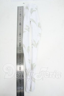 画像2: SD/OF:タイツ Y-26-03-18-111-WT-ZY