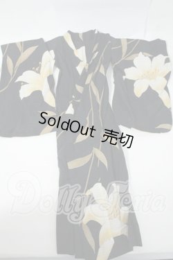 画像1: SD/OF:衣装セット Y-26-03-04-231-WT-ZY