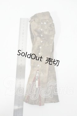 画像2: SDM＆MSD/OF:パンツ Y-26-03-04-218-WT-ZY