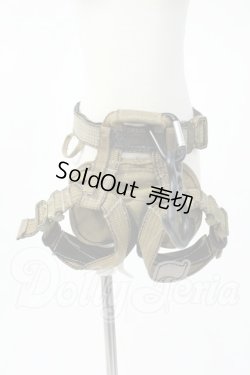 画像1: DD/OF:小物　青雷亭様製 Y-26-02-18-004-WT-ZY