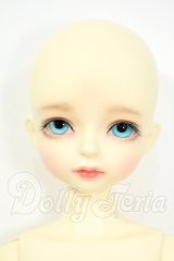 Myoudoll/Doudou Y-26-02-18-077-WT-ZY