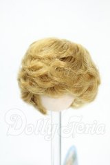 4.5-5inch/ウィッグ Y-26-02-18-114-WT-ZY