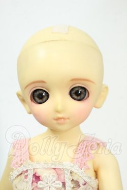 画像7: 幼SD/鈴菜 Y-26-02-25-008-WT-ZY