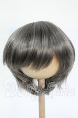 8-9inch/ウィッグ Y-26-02-25-285-WT-ZY