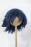 画像1: 8-8.5inch/ウィッグ Y-26-03-04-076-WT-ZY (1)