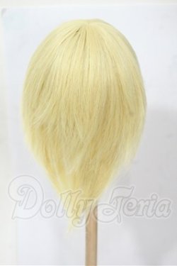 画像2: 7-8inch/ウィッグ Y-26-03-04-069-WT-ZY