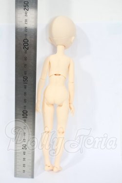 画像3: PARABOX/カスタムヘッド PB-2712+ピュアニーモ2フィール S／女の子ボディ Y-26-02-25-034-WT-ZY