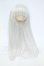 画像1: 5inch/ウィッグ Y-26-02-25-241-WT-ZY (1)