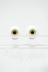 16mm/グラスアイ Y-26-03-04-122-WT-ZY