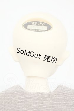 画像5: SDM/F-35：コーディネートモデル Y-26-03-04-019-WT-ZY