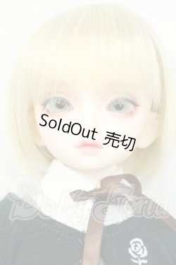 画像1: SDM/フルチョイス　F-70 Y-26-03-04-017-WT-ZY