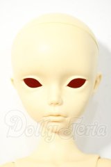 angelresion/imda5.2：sara Y-26-03-04-146-WT-ZY