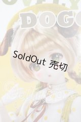 TinyFox/人見知りのワンちゃん リタ Y-26-03-18-002-WT-ZY