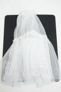 画像1: SDM＆MSD/OF:小物 Y-26-03-25-007-WT-ZY