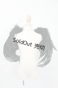 画像1: SD/OF:羽 Y-26-03-25-053-WT-ZY