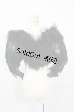 画像2: SD/OF:羽 Y-26-03-25-053-WT-ZY