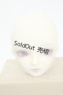 画像1: SD/ヘッド:F-54 Y-26-04-29-114-WT-ZY