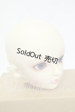 画像2: SD/ヘッド:F-54 Y-26-04-29-114-WT-ZY