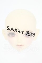 SD/ヘッド:F-22 Y-26-03-25-107-WT-ZY