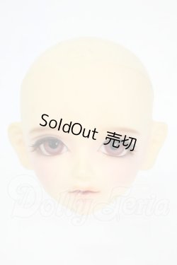 画像1: SD/ヘッド:F-22 Y-26-03-25-107-WT-ZY