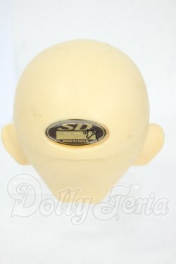 画像4: SD/ヘッド:F-22 Y-26-03-25-107-WT-ZY