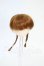 画像1: 4inch/ウィッグ Y-26-03-25-129-WT-ZY (1)