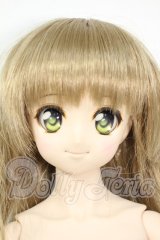 DD/DDSマユ Y-26-03-25-231-WT-ZY