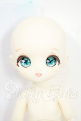 tinyfox1/6サイズ/カスタムヘッド(01S) &ボディ Y-26-03-25-227-WT-ZY