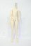 画像1: BonBon Galaxy/TG-B4-01 Boy Body Y-26-04-01-152-WT-ZY (1)