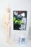 画像6: 2DDOLL/墨 Y-26-04-01-014-WT-ZY (6)