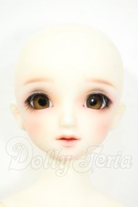 SDM/フルチョイス:F-45 aone様メイク Y-26-04-01-091-WT-ZY