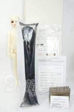 画像7: SDM/フルチョイス:F-45 aone様メイク Y-26-04-01-091-WT-ZY